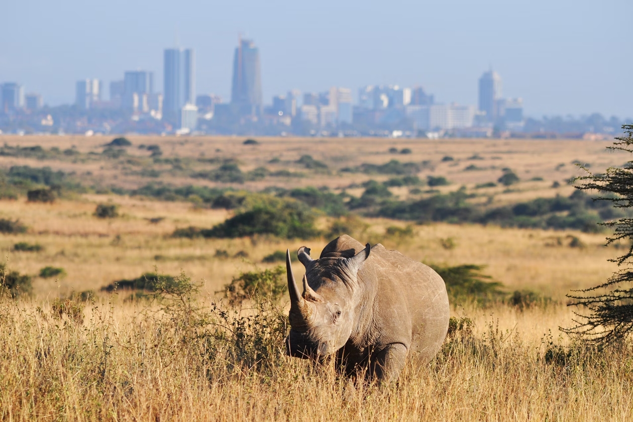 10 Astonishing Facts About Kenya