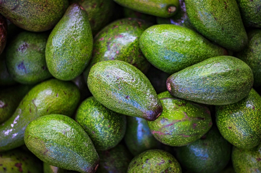 Top Avocado producers in Africa