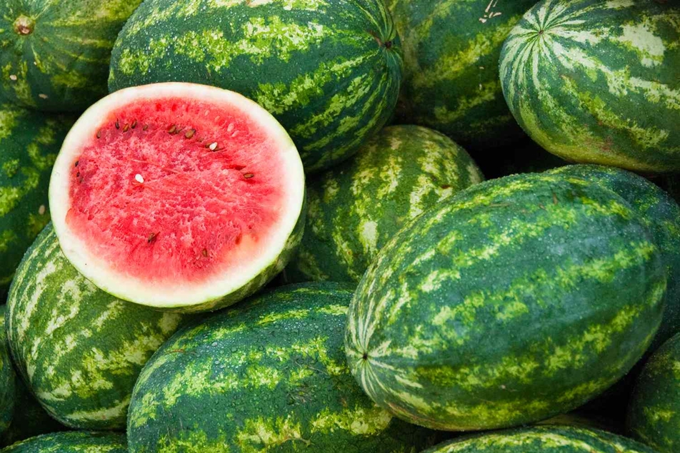Top watermelon producers in Africa